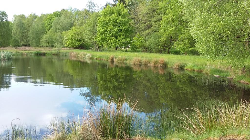 Gastezimmer - Campingplatz Am Muhlenbach Soltau Dış mekan fotoğraf